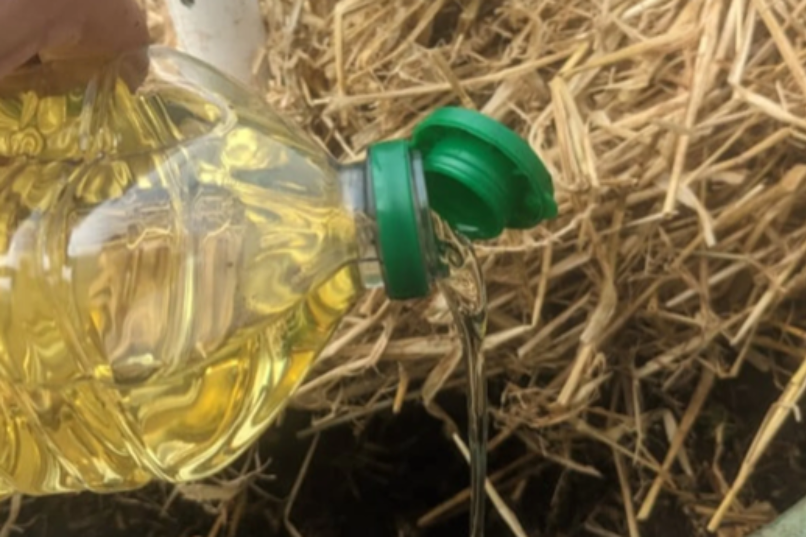 Still Using Old Oil Disposal Methods? Join the Revolution Now!