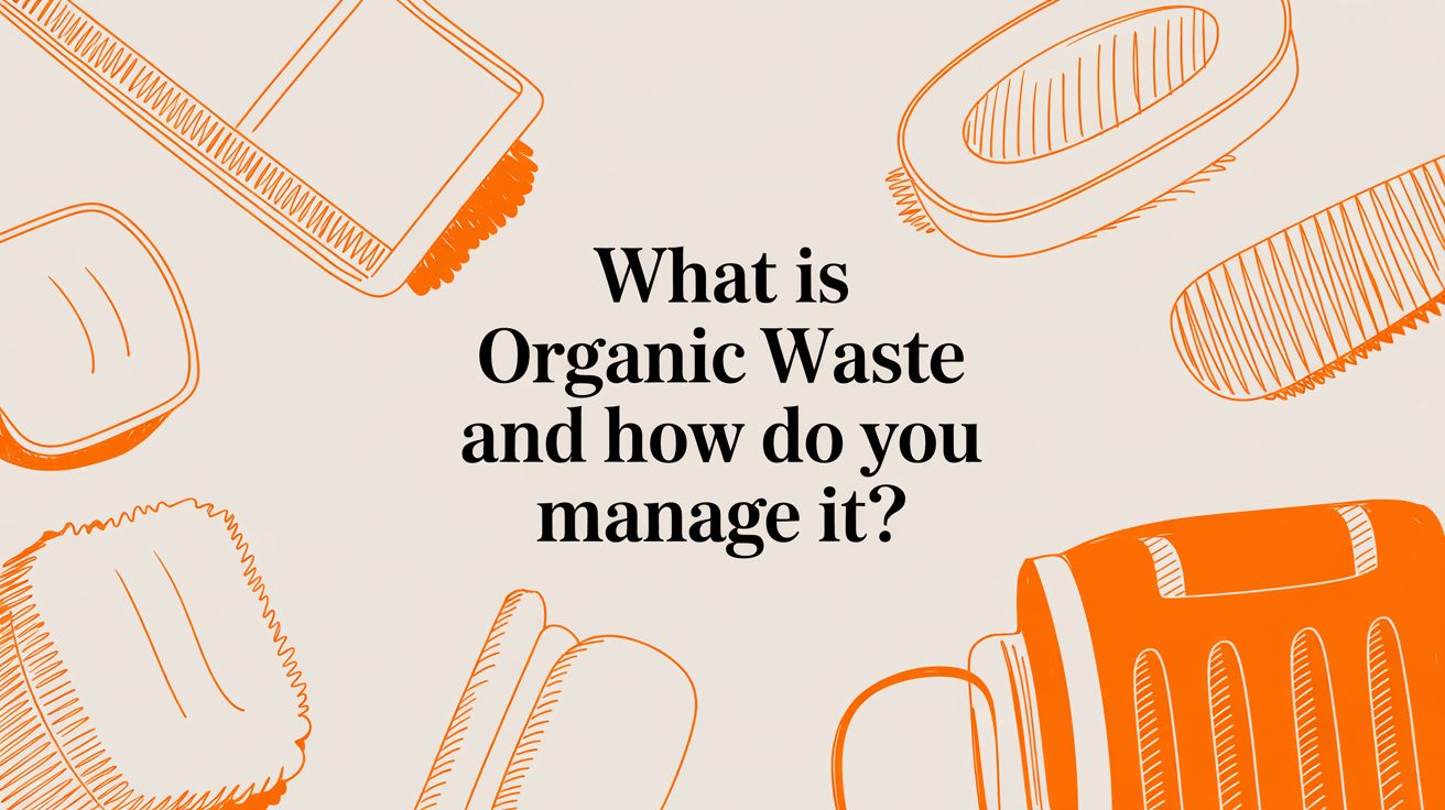 What Is Organic Waste and How Do You Manage It?